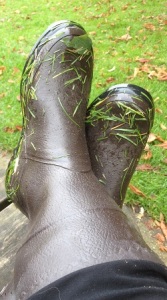 Wellies