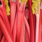 Rhubarb/Oatsy 40/flickr