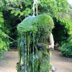 Unfathomable mysteries of the garden