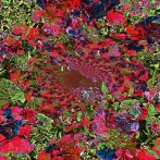 Speeding up…or slowing down