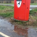 Doggy doo, or doggy don’t