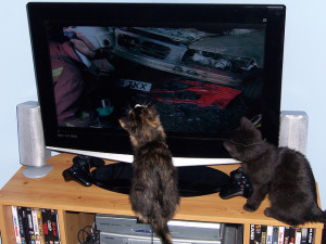 Alan/Watching television/Flickr